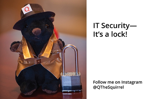 Q IT Security Plan Blog